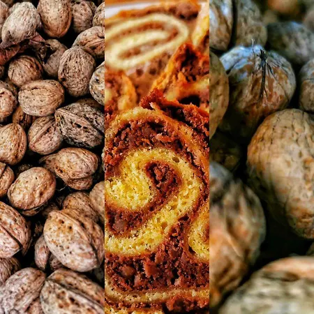 Planinski Dom Majerhold * 솔차바