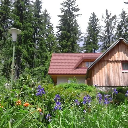 Planinski Dom Majerhold