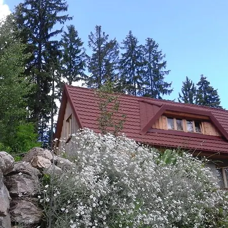 게스트하우스 Planinski Dom Majerhold