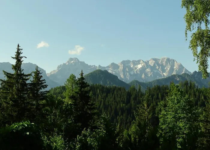 Planinski Dom Majerhold Πανσιόν Solčava