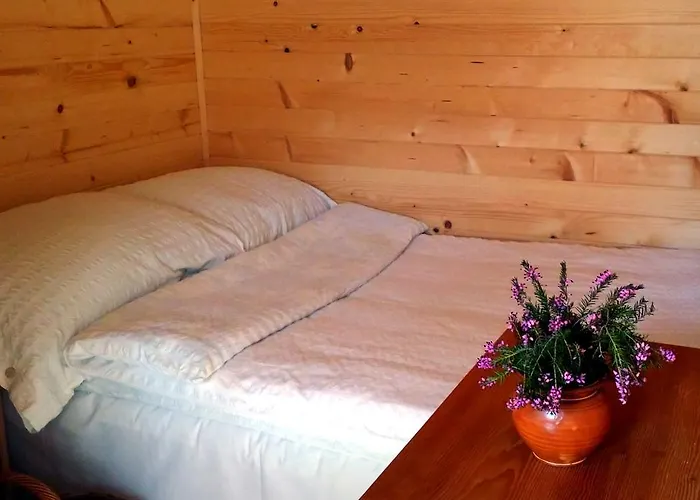 Πανσιόν Planinski Dom Majerhold