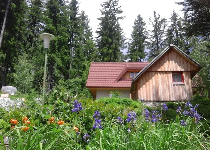 Planinski Dom Majerhold