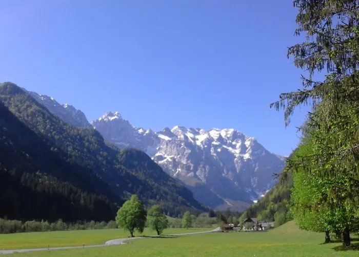 Πανσιόν Planinski Dom Majerhold *